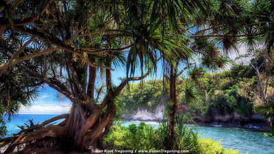 A Visit to the Stunning Hawaii Tropical Botanical Gardens