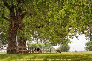 Little House on the Prairie